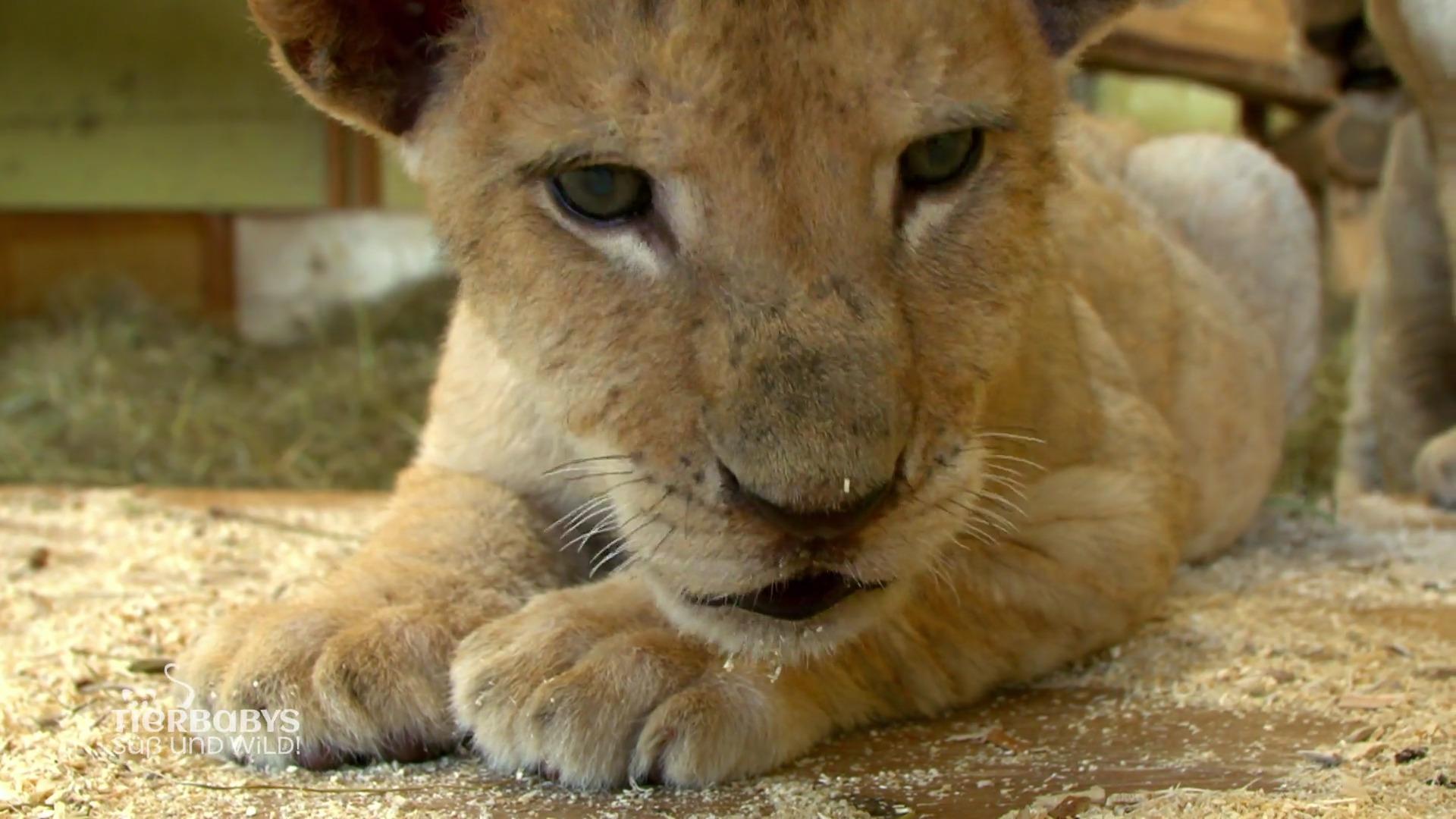 Jetzt wird es unangenehm!