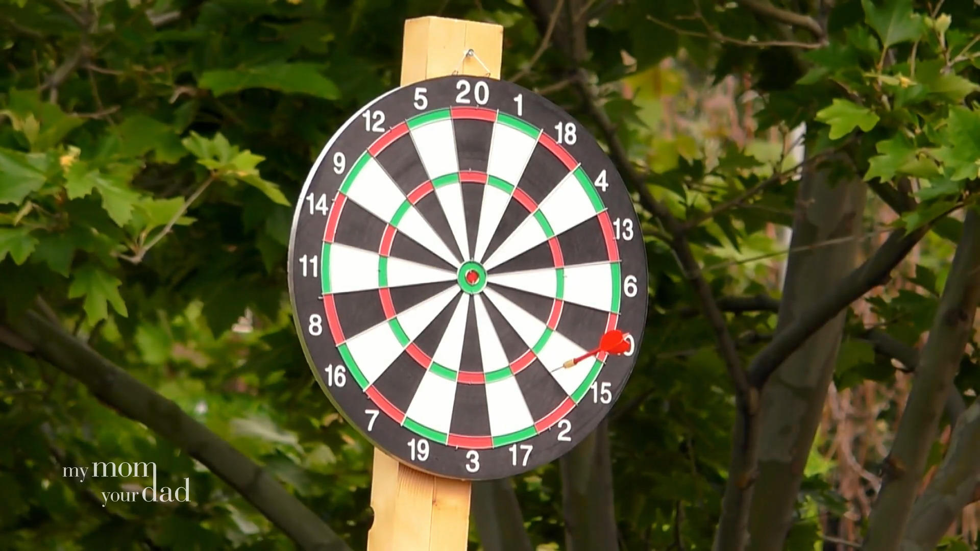 Tanjas Dartpfeil: Direkt ins Herz von Steffen?