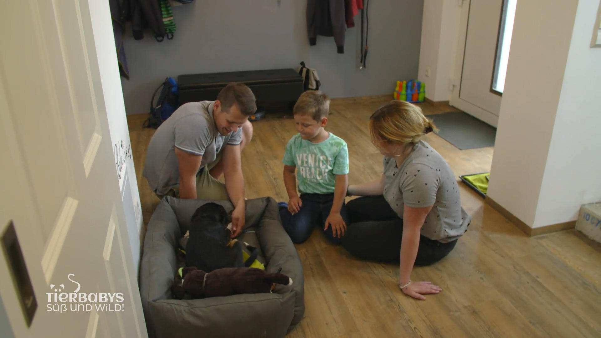 Balu erkundet sein neues Zuhause