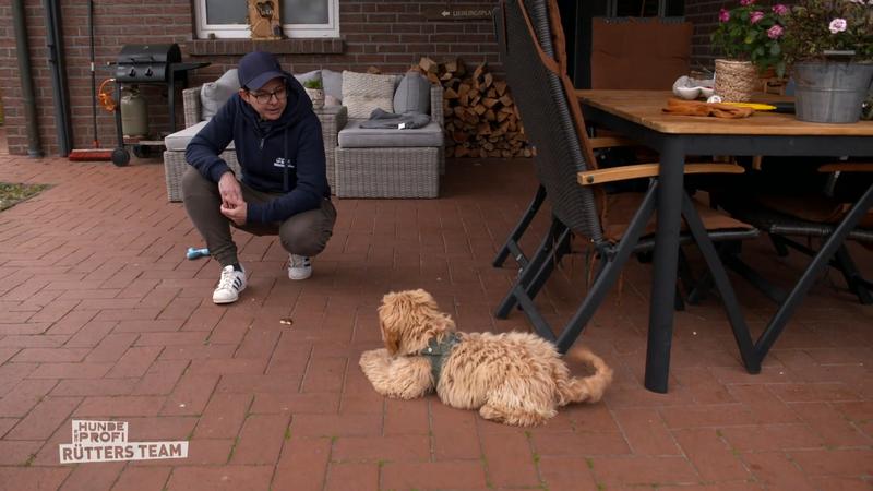 Charlie muss lernen, geduldig zu sein