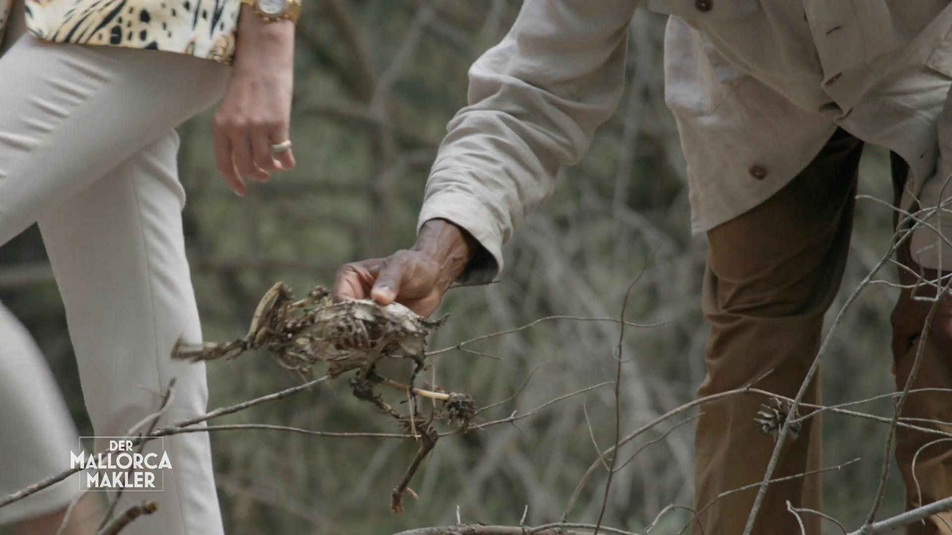 "Ist mir alles ein bisschen unheimlich hier"