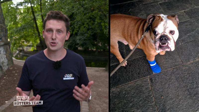 Hat sich die Lage rund um Hansi verbessert?