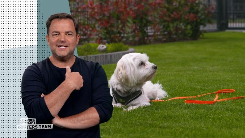 Wie läuft das Training mit Coda?