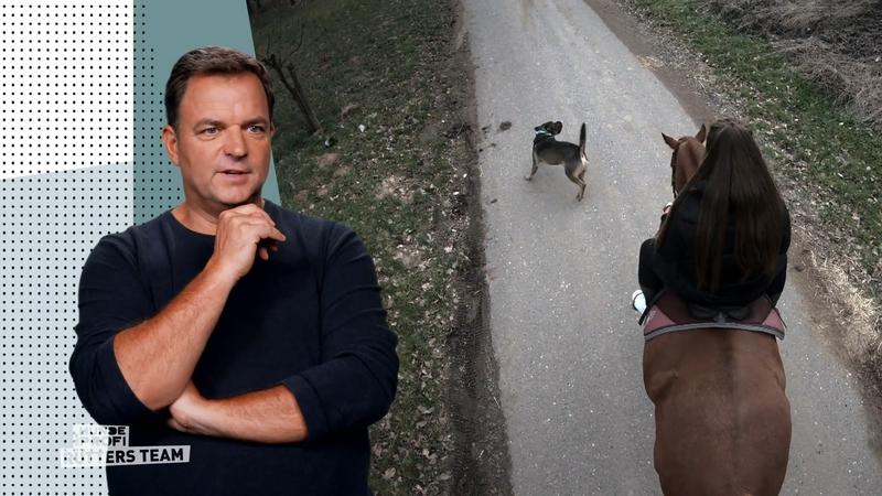 Hat Ellens Training gefruchtet?