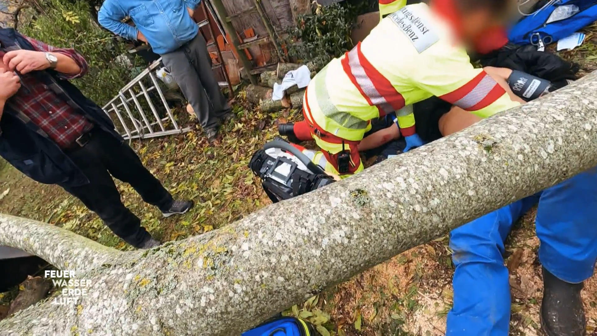 Durch Baumfällarbeiten eingeklemmt - Feuerwehr rückt an