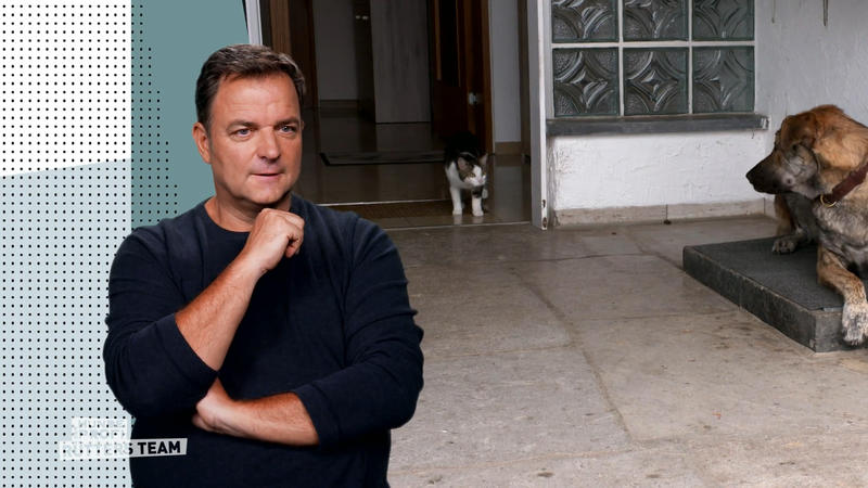 Verstehen sich Hund und Katzen doch noch?