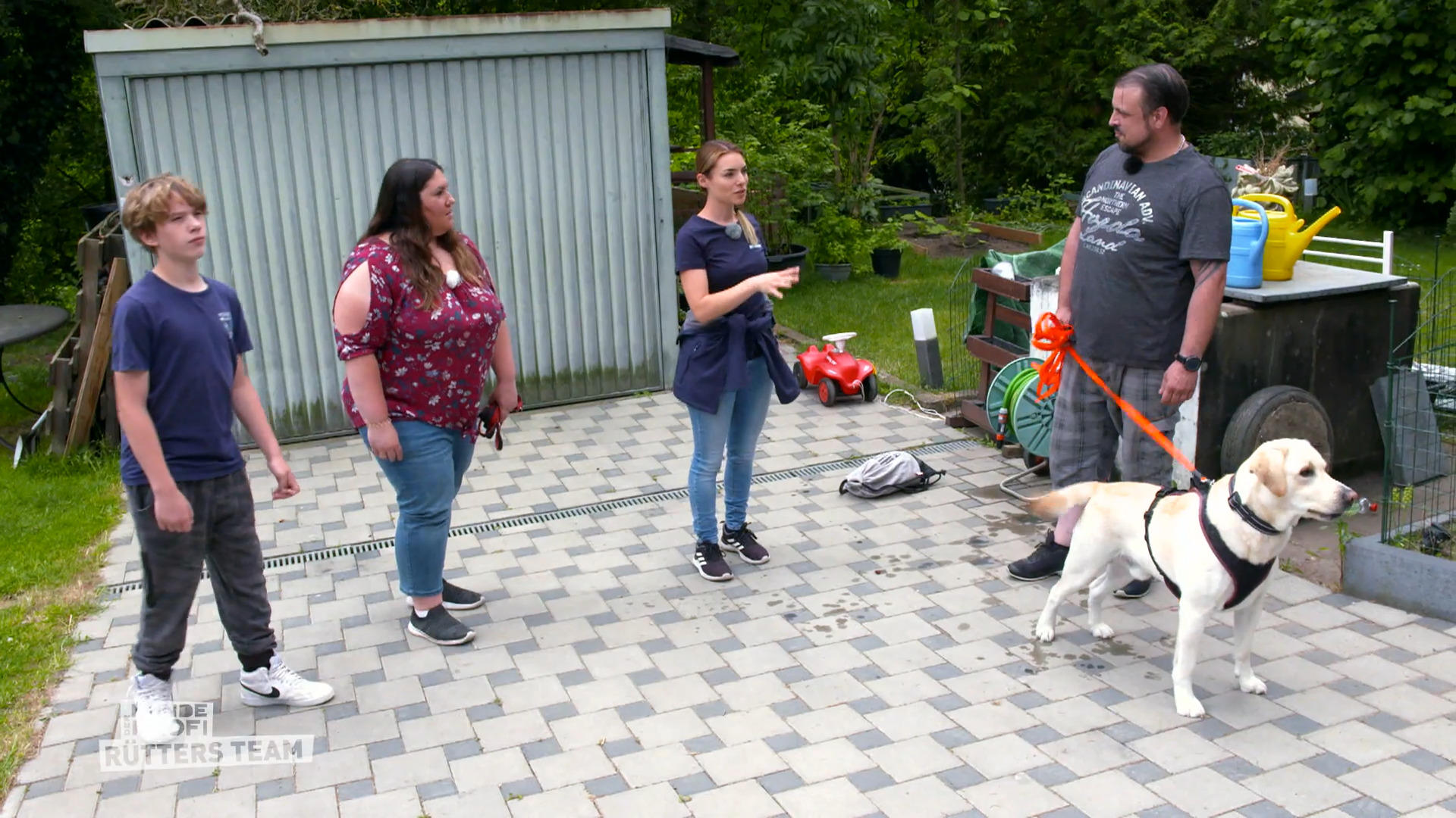Der temperamentvolle Labrador Louie braucht Beschäftigung