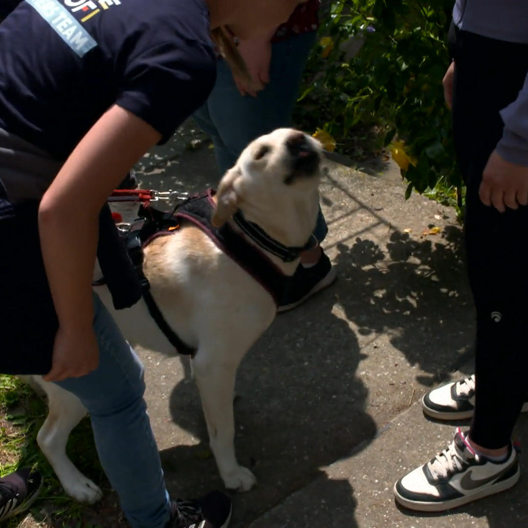 Louie wird zum ersten Mal gemaßregelt