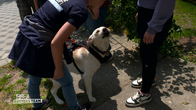 Louie wird zum ersten Mal gemaßregelt