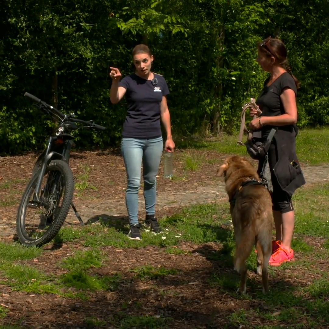 Ist Aleksi ein Wirbelwind oder ein Sensibelchen?