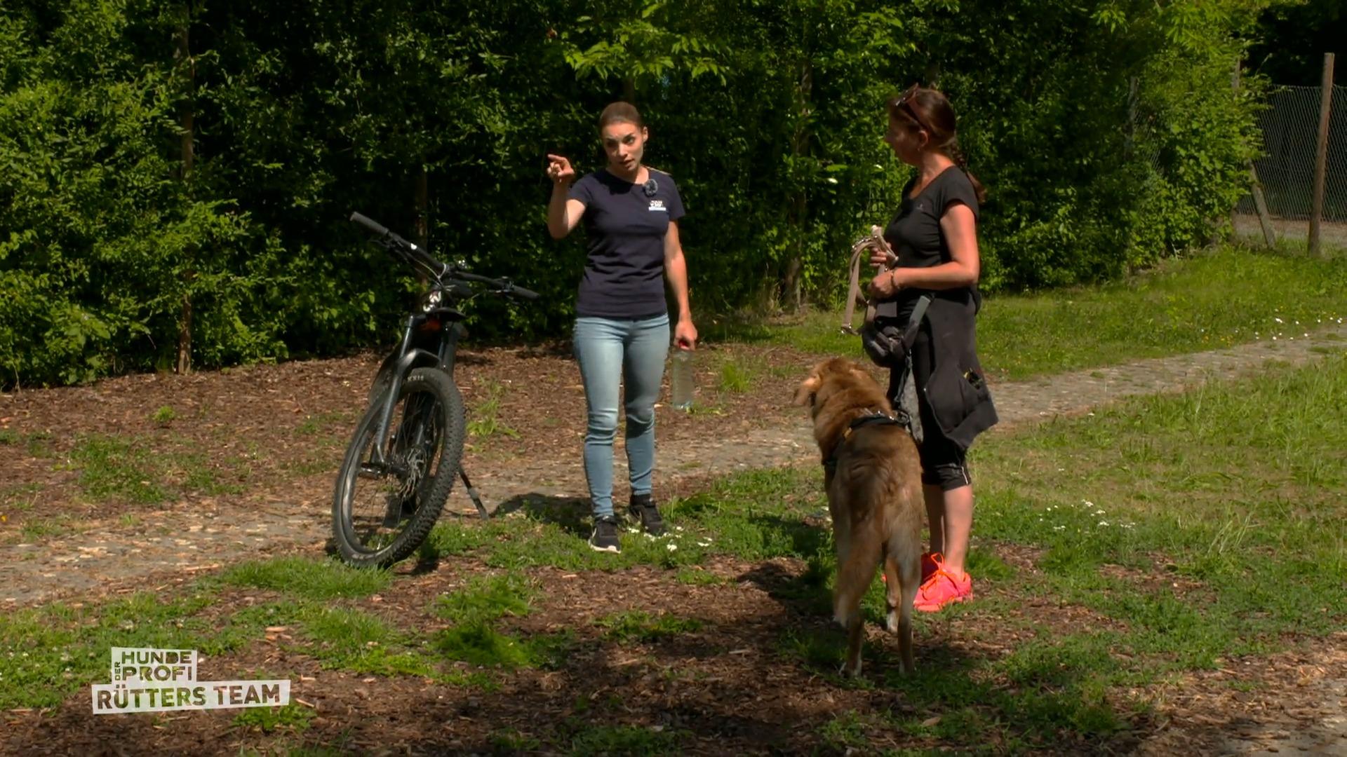 Aleksi: Ist er ein wilder Wirbelwind oder ein Sensibelchen?