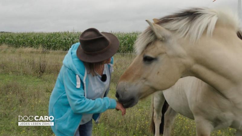 Zentrum für therapeutisches Reiten