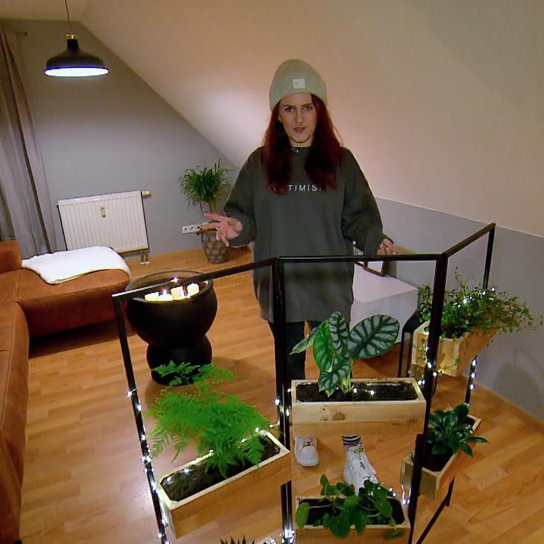 Lisas neues Wohn- und Arbeitszimmer