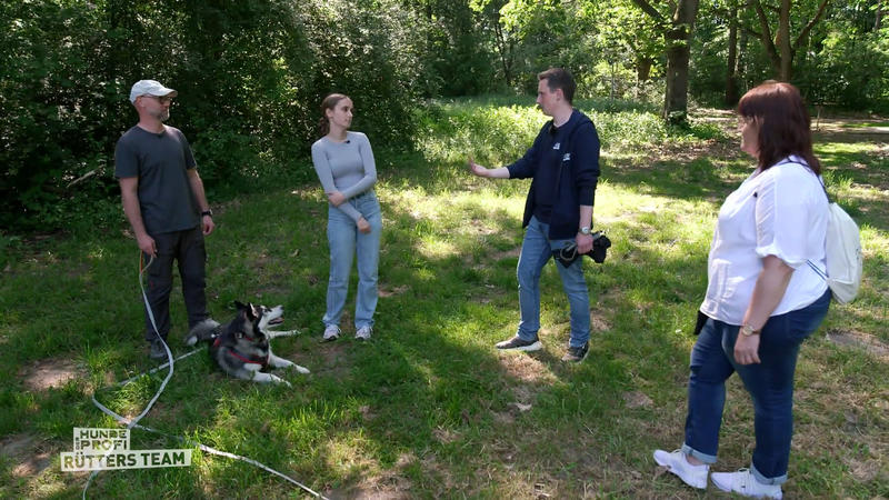 Kira hat einen starken Jagdtrieb