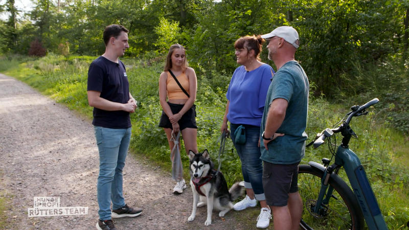 Endliche angenehme Spaziergänge mit Kira