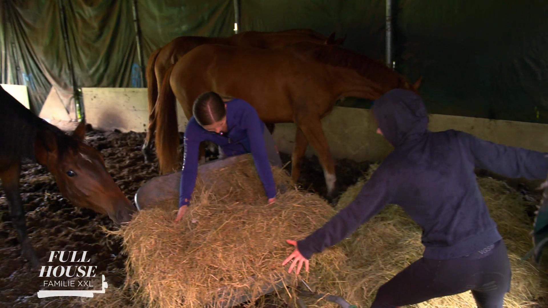 Hier packen alle mit an!