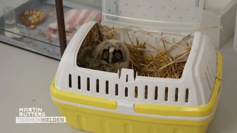 Martin zu Besuch im Tierheim München