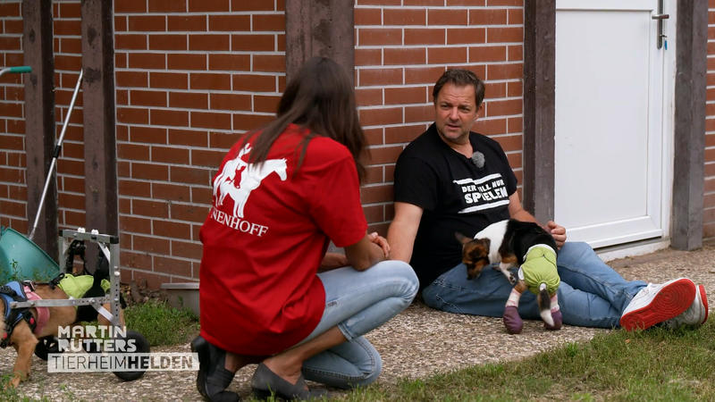 Wie schwer vermitelbar sind Rolli-Hunde?