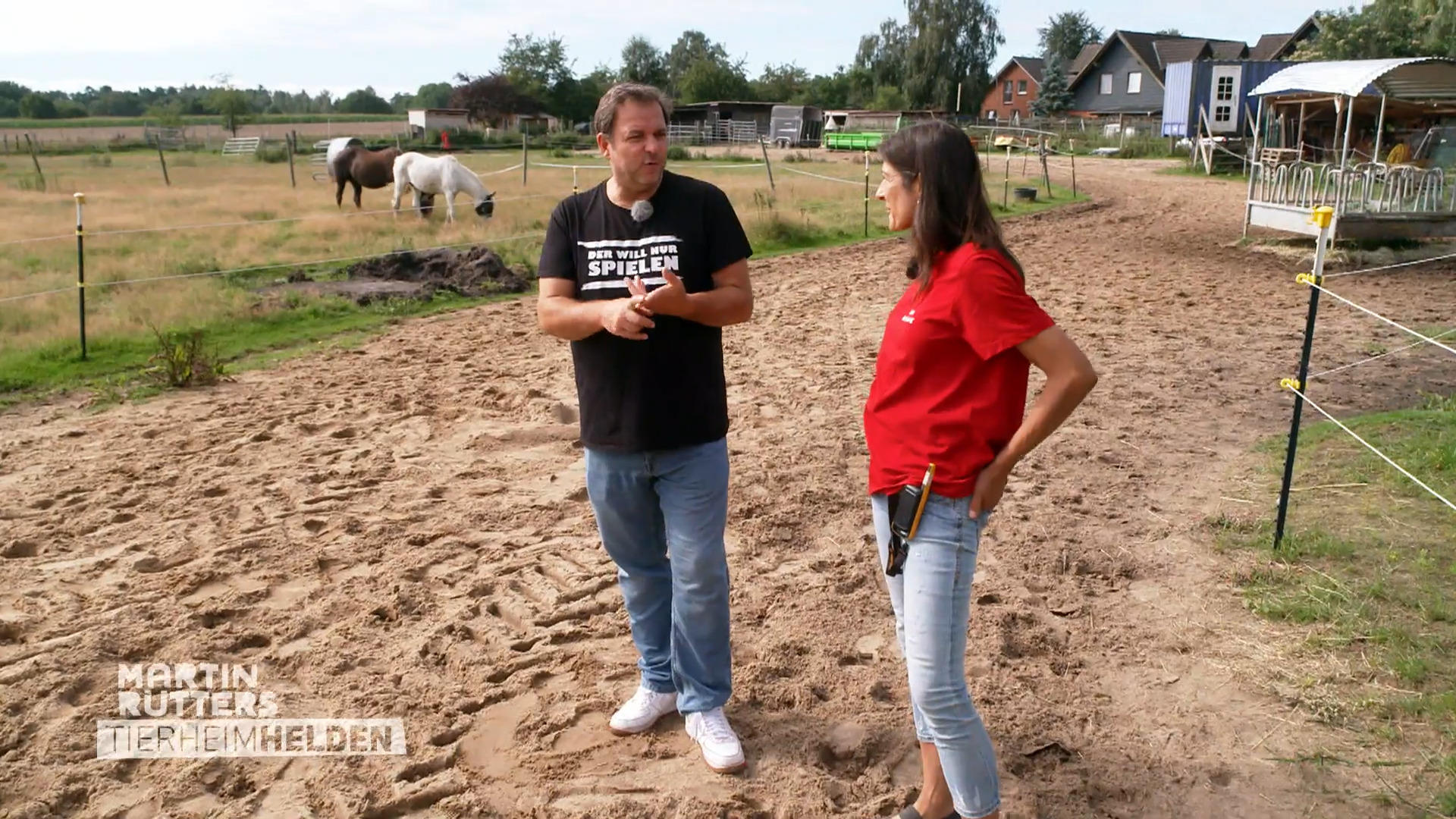 Auch Nutztiere sind auf dem Hun´nenhoff willkommen