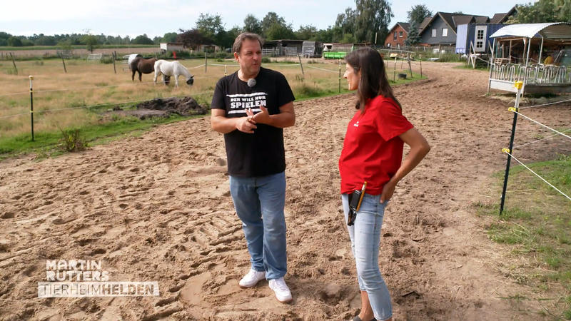 Auch Nutztiere sind auf dem Hun´nenhoff willkommen