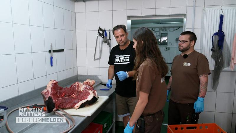Raubtierfütterung im Tigergehege