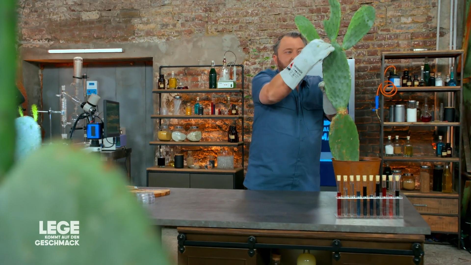 Nopales für das perfekte Fast Food Menü?