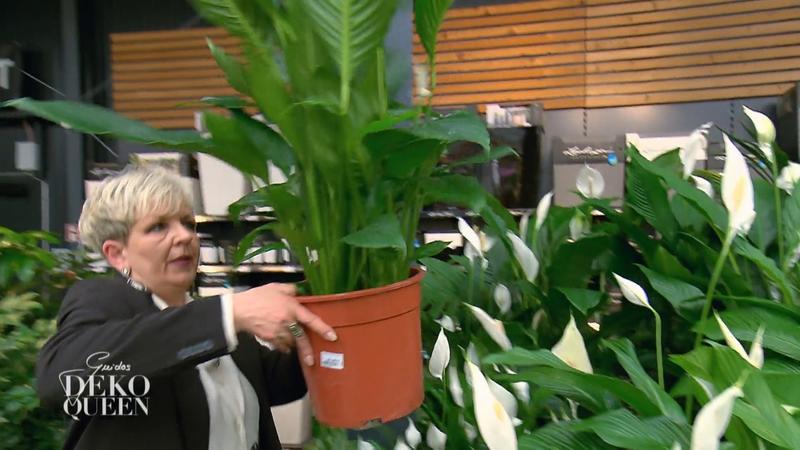 Manuela fehlt ein genauer Plan