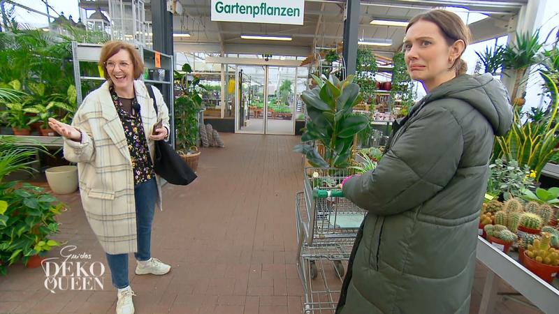Trotz fehlendem grünen Daumen werden Pflanzen gekauft