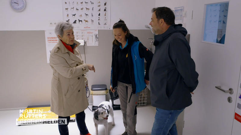 Kimo hat seit einem Jahr ein neues Zuhause