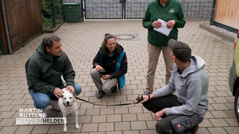 Schwer vermittelbar wegen zu viel Stressbellen