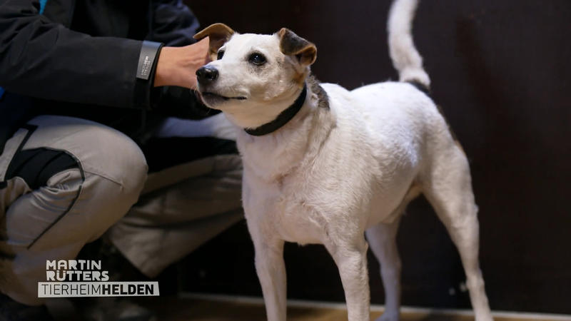 Abschied und Neuanfang für Jack
