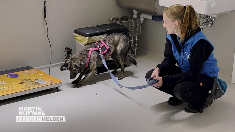 Für Hilde ist alles erstmal bedrohlich
