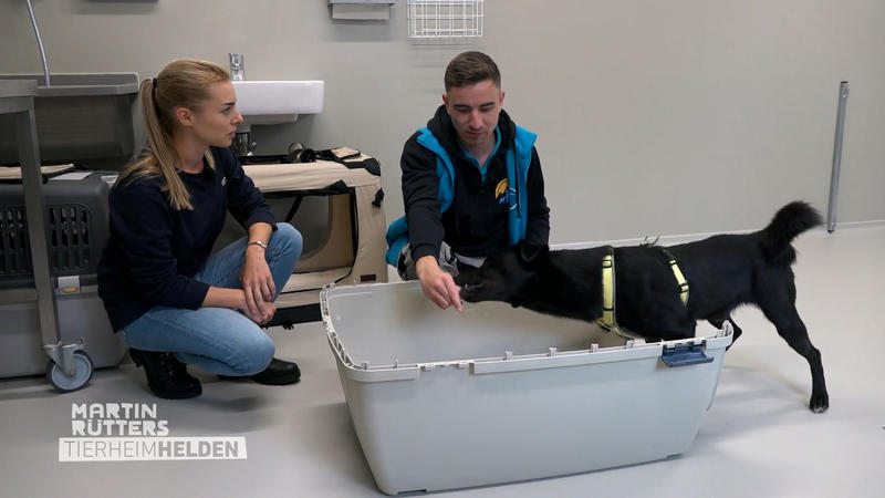 Trainieren mit der Transportbox