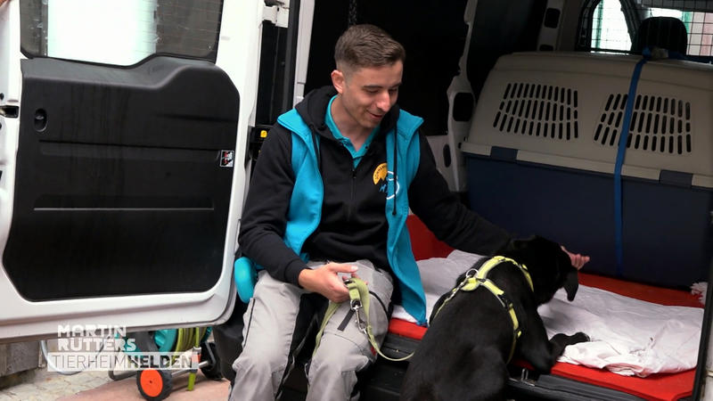 Benny hat Angst vor dem Auto fahren