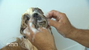 Winnie in der Spezialwanne