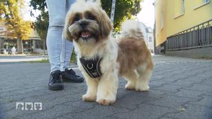 Winnie sieht verändert aus