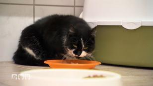 Eine Auffangstation im Thüringer Wald