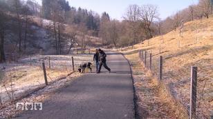 Wer ist hier das Alpha-Tier?