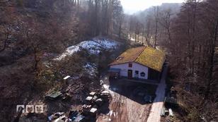 Hilfe von den "harten Hunden"