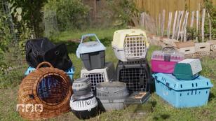 Welche Transportboxen eignen sich am besten?