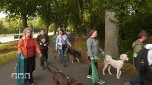 Clean Up Event - Die Ausbildung zum Müllsammelhund