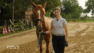 Unsicherheit überträgt sich auch auf´s Pferd