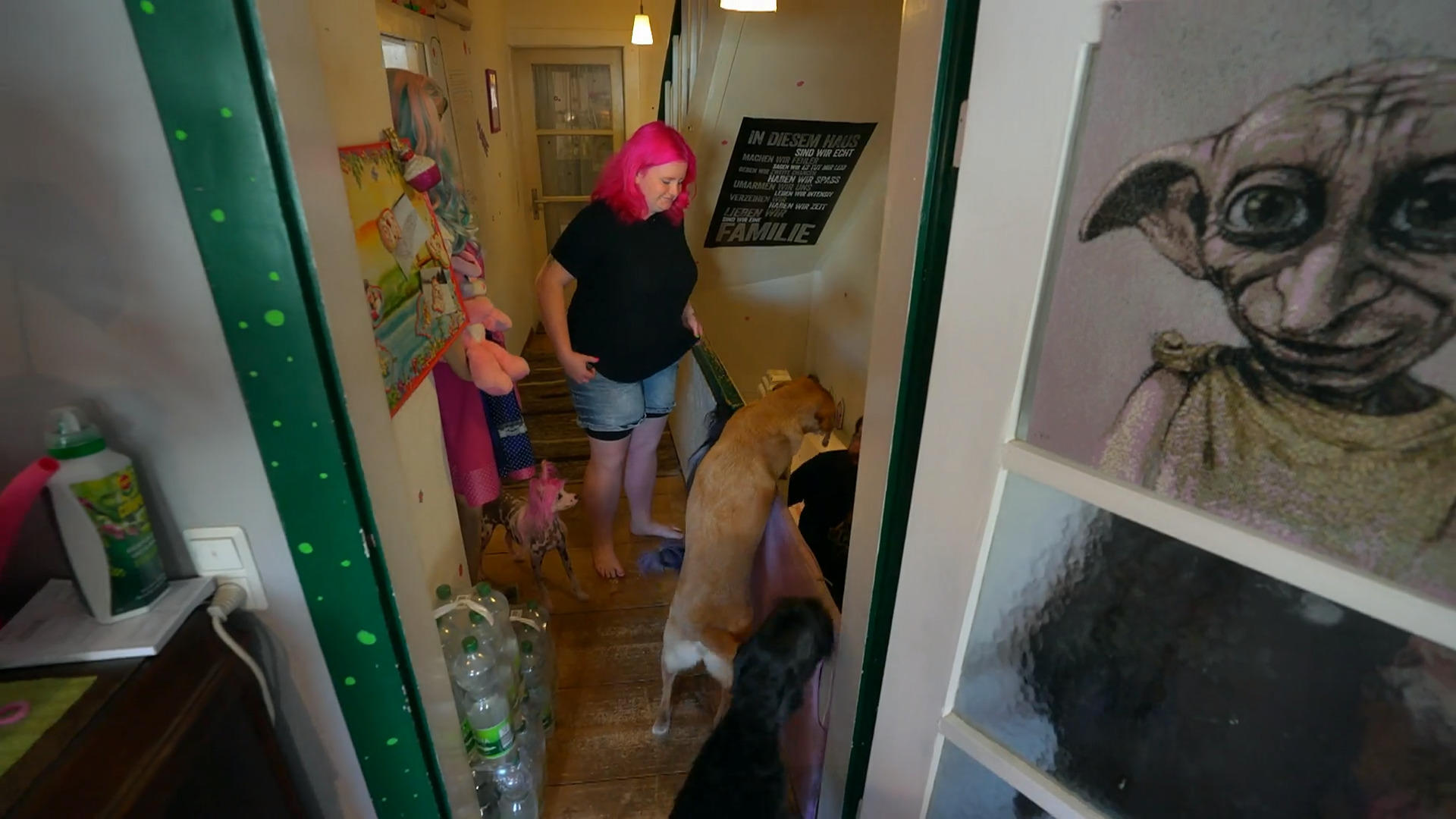 Familienzuwachs in Lisa-Maries buntem Hunderudel