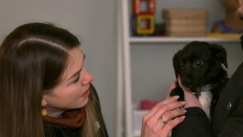 Fiebi hat eine lange Reise hinter sich