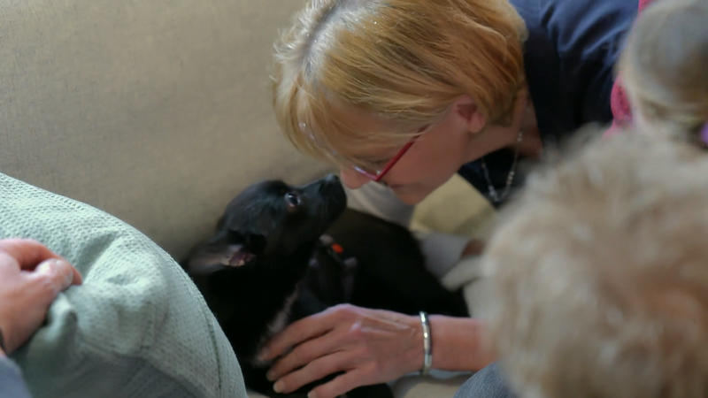 Fiebi lernt die Familienmitglieder kennen