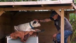 Tierheim muss dringend saniert werden