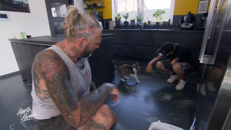 Da haben sich zwei gefunden