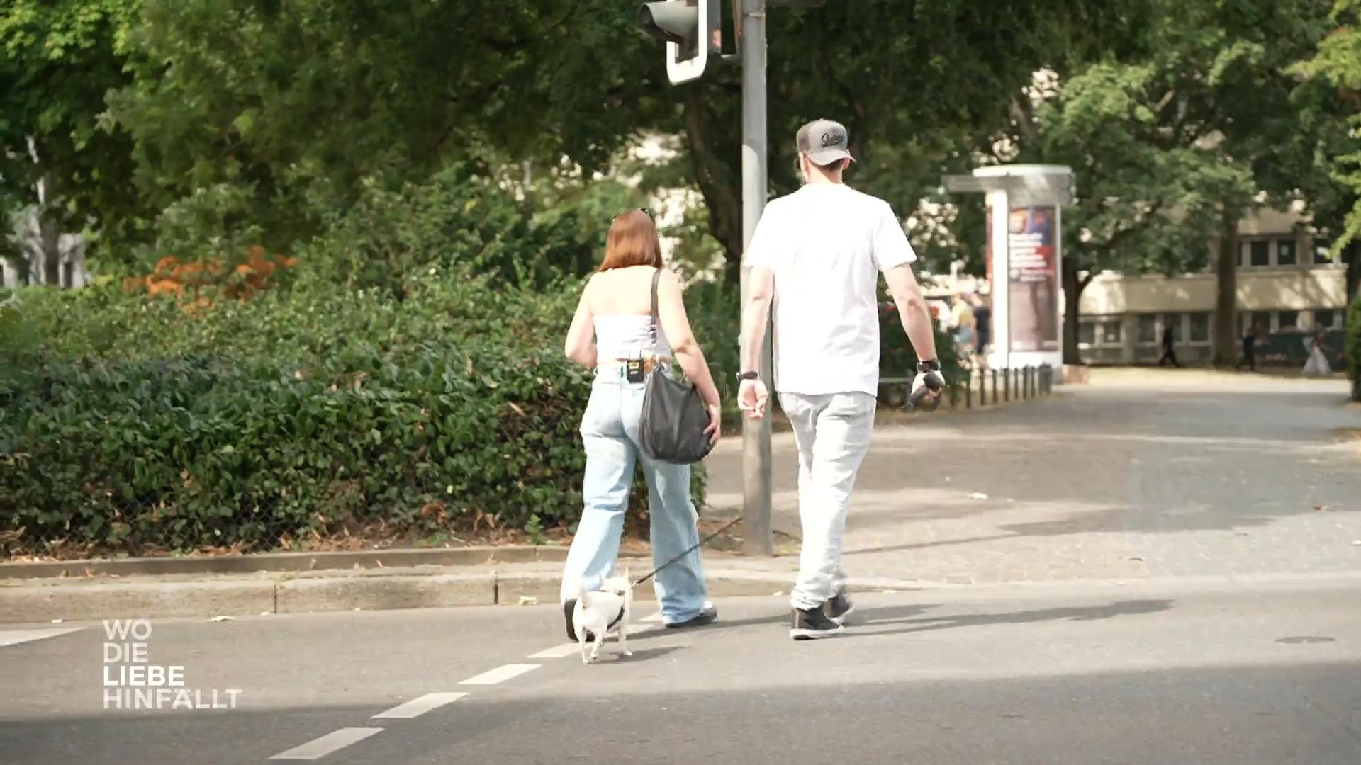 Ihr Chihuahua gibt ihnen Stabilität