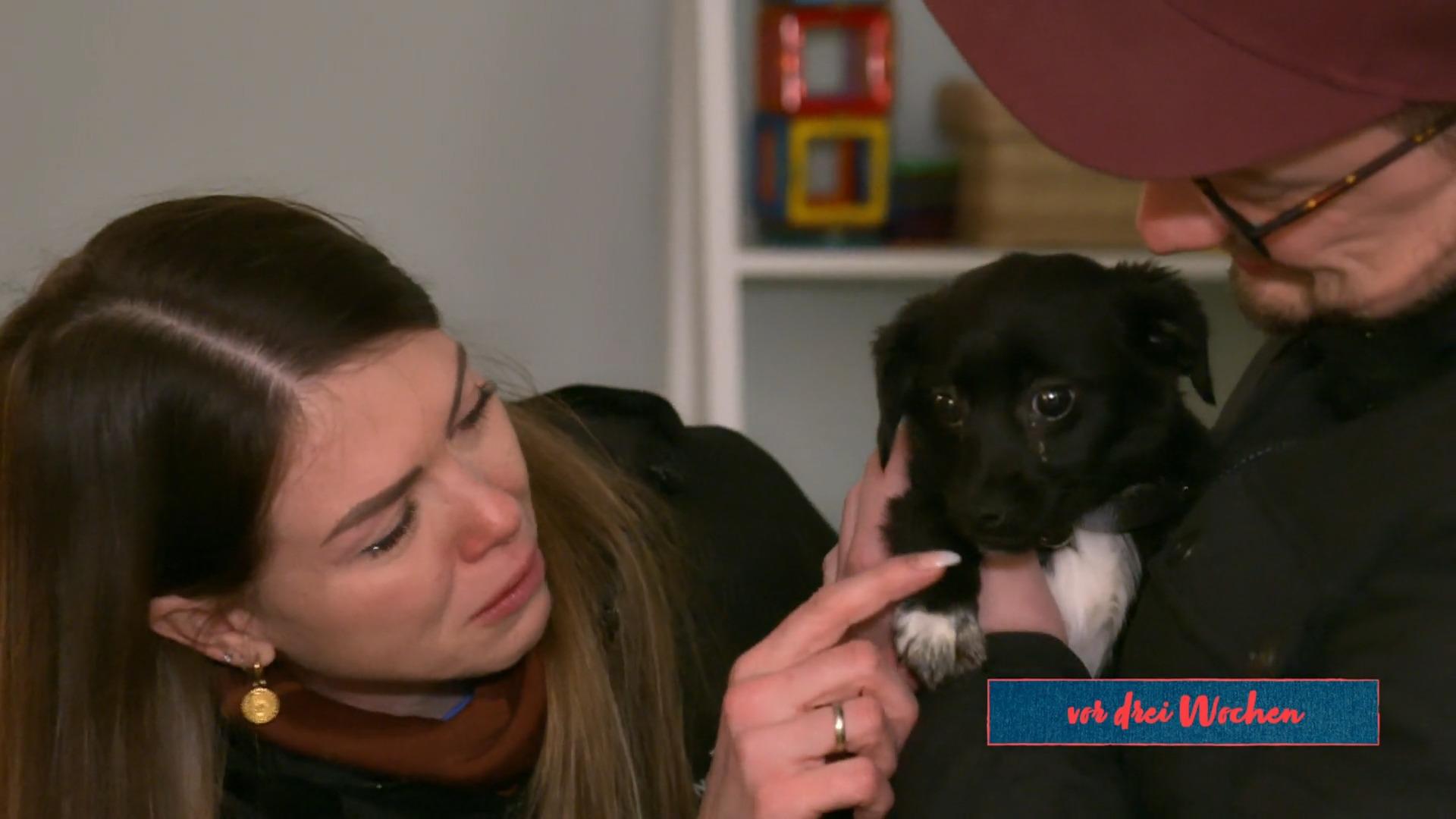 Welpe Phoebe war eine "Wundertüte"