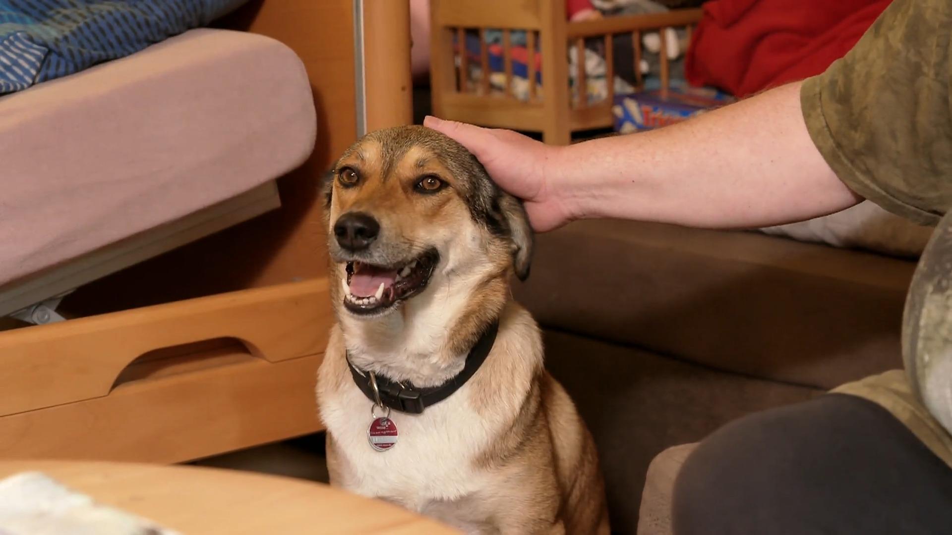 Lucy unterstützt Christian und seine Mutter